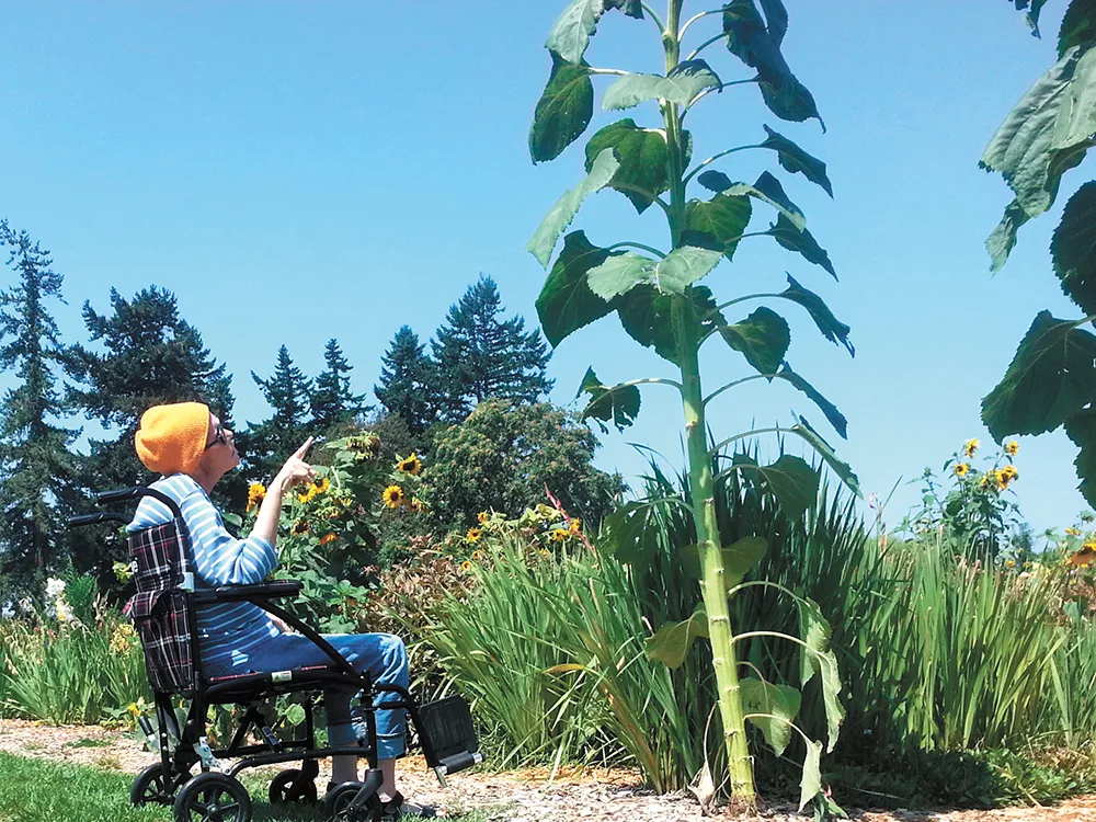 Life-ending medications are legal in Washington, but getting them is a whole other story