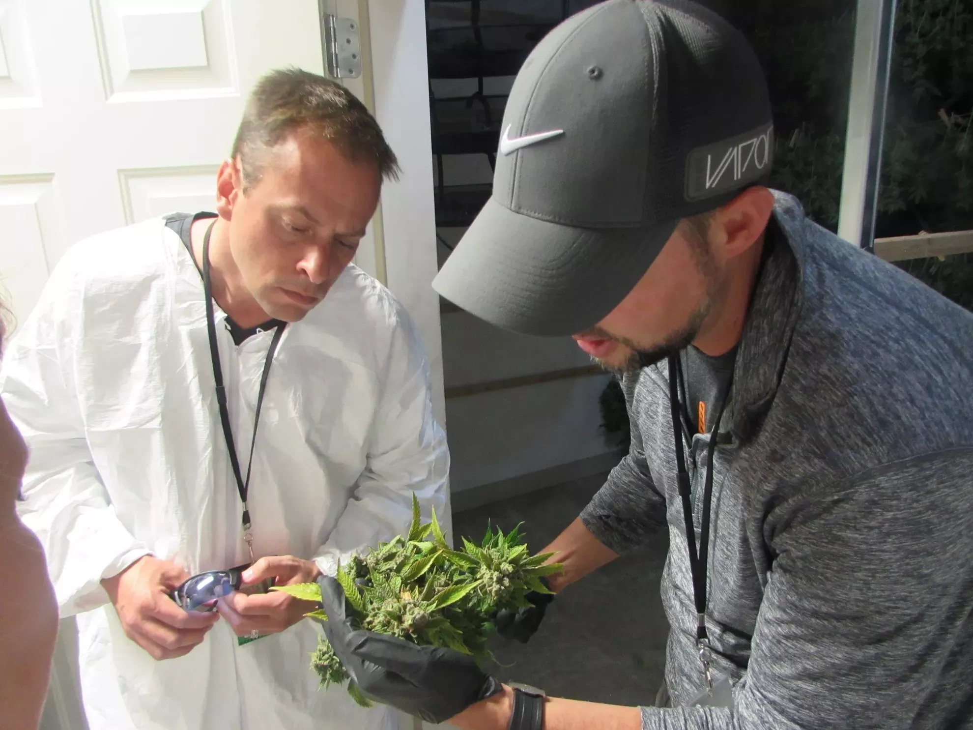 Touring an indoor weed farm with Spokane Valley City