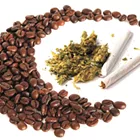 Coffee and cannabis: Some pairings just work