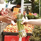 Make a farmer's day with these Inland Northwest markets