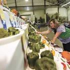 Spokane County Interstate Fair offers free lessons in growing, preparing and preserving food