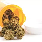 How the uncertainty surrounding cannabis is being felt in other industries