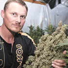 Even the World Anti-Doping Agency has warmed to CBDs