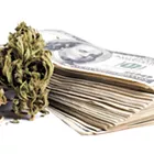 For now at least, the feds want pot money in banks