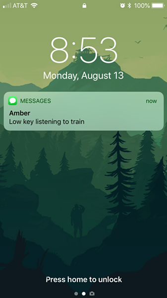 A text my sister sent on Monday morning. - QUINN WELSCH SCREENSHOT