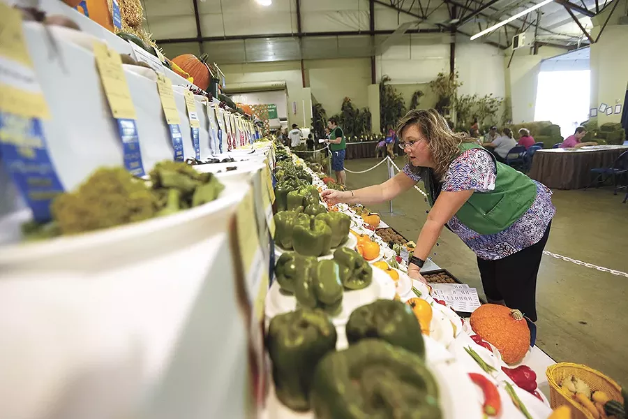 A rise in home gardening has boosted vegetable competition entries at the Spokane County Interstate Fair. - YOUNG KWAK