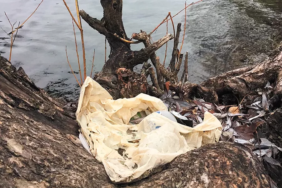 It's incredibly common to find plastic grocery bags like this one littering the shore of the Spokane River, says Riverkeeper Jerry White. - JERRY WHITE PHOTO