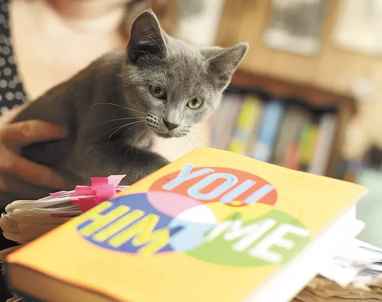 The Dinnison family's kitten, Raymond, wishes he could read. - YOUNG KWAK