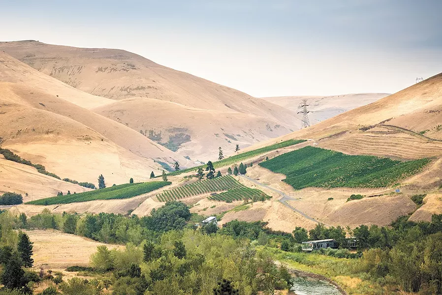 Colter's Creek Vineyard and Winery in Juliaetta, Idaho.
