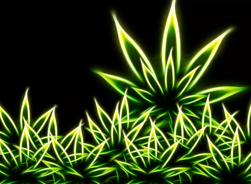 marijuana-1920x1408.jpg