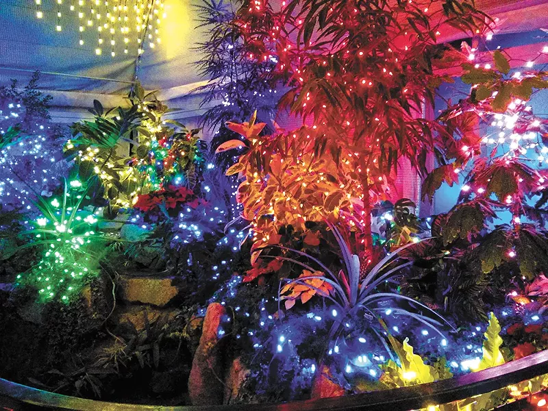 The annual holiday lights display at the Gaiser Conservatory this year is Dec. 11-20. - CHEY SCOTT