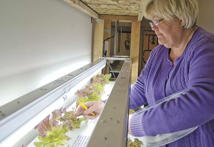 Barbara Mays tends to indoor crops at the CAC. - JACOB JONES