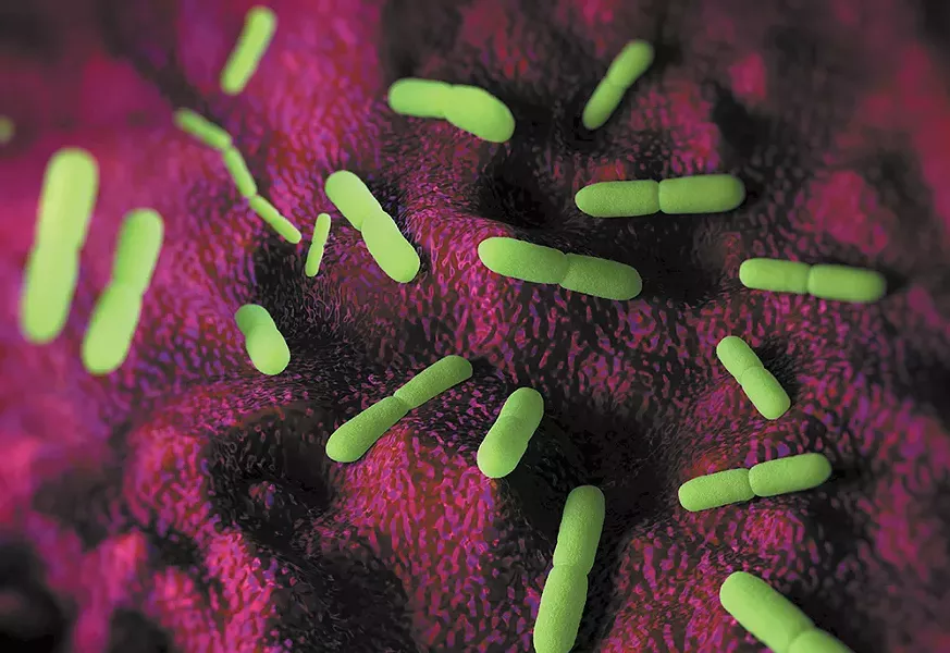 Digital illustration of yersinia pestis, the bacteria that causes the Plague. "Today, modern antibiotics are effective in treating plague," according to the Centers for Disease Control.