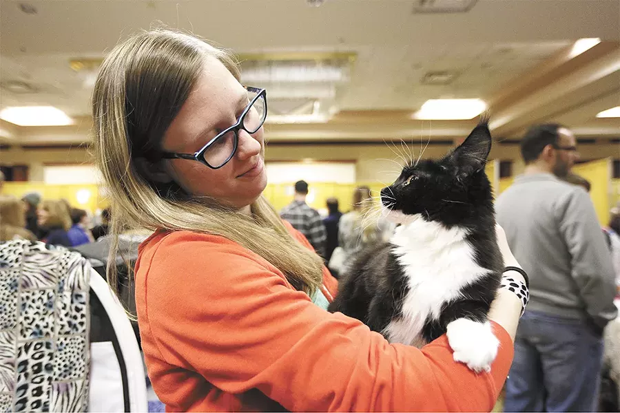 Stefani Dell and Pearl the Main Coon - YOUNG KWAK