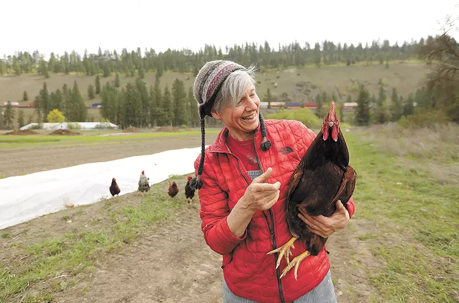 Free-range chickens help reduce bug and weed problems without chemicals. - YOUNG KWAK