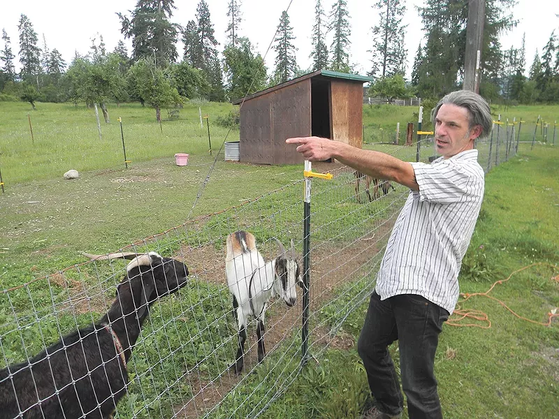 Tim Loe and his partner, Gina Britton, worry that something uphill is making their goats sick. - JAKE THOMAS