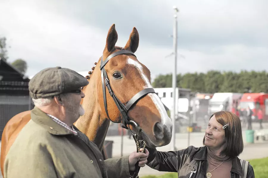 Dark Horse tells of a remarkable racehorse.
