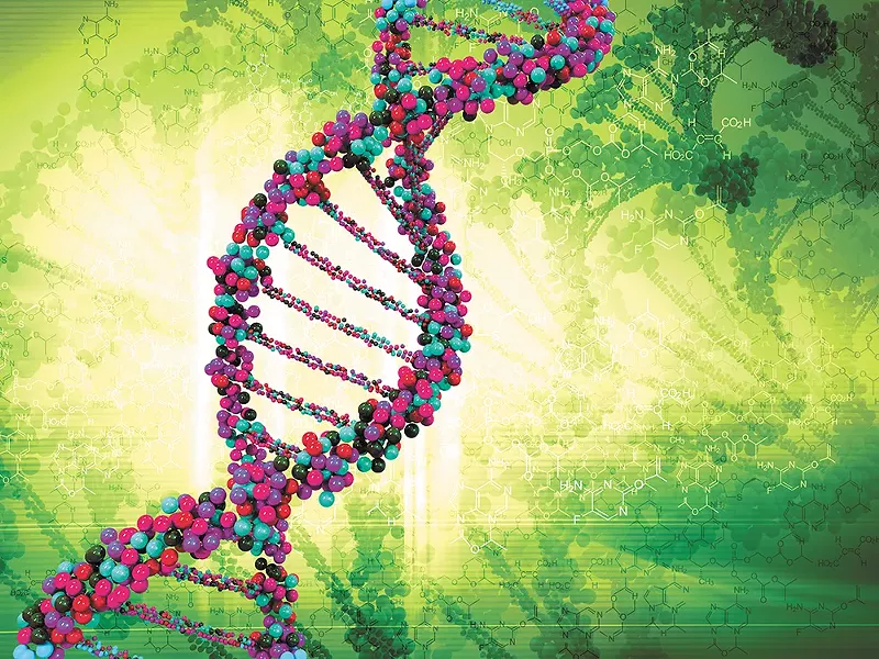 Researchers say that 30 specific genes are essential to the production of terpenes.