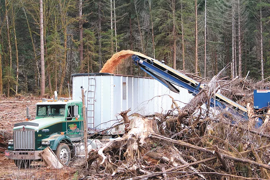 This "slash" can eventually help power an airplane. - NORTHWEST ADVANCED RENEWABLES ALLIANCE PHOTO