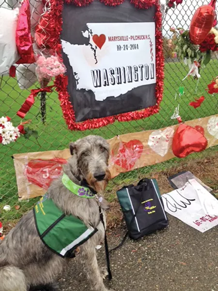 Debbie and Chuck Wing's Irish Wolfhound, Keeva, responded to the Marysville school shooting in 2014.