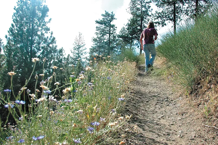 The South Hill bluff trails offer great views of Latah Valley. - YOUNG KWAK