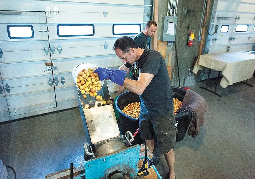 "Rescued" apples make delicious cider. - YOUNG KWAK