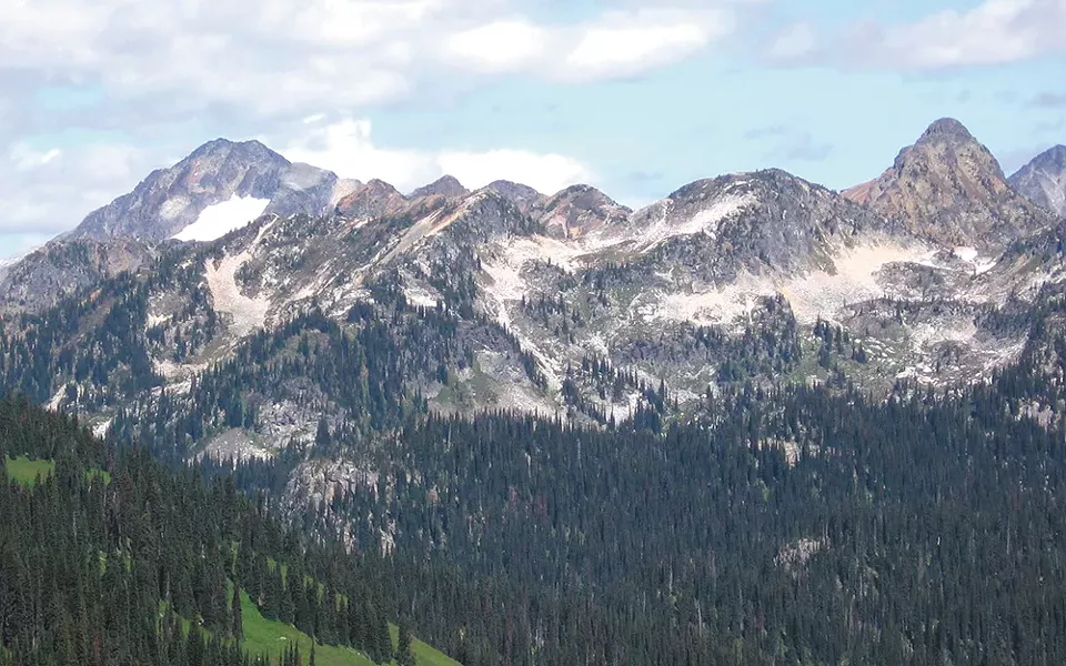 Instead of visiting Canada's most popular national parks, be a rebel and visit Mount Revelstoke. - MARCIN CHADY