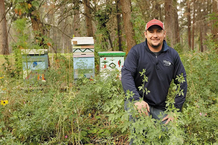 Mike Greene's beehives are only one part of his plans to green up the golf course. - YOUNG KWAK