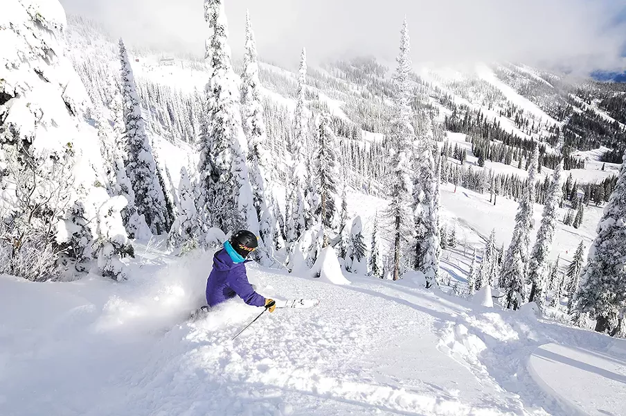 snowlander8-2-4b4274c52cc2cc80.jpg