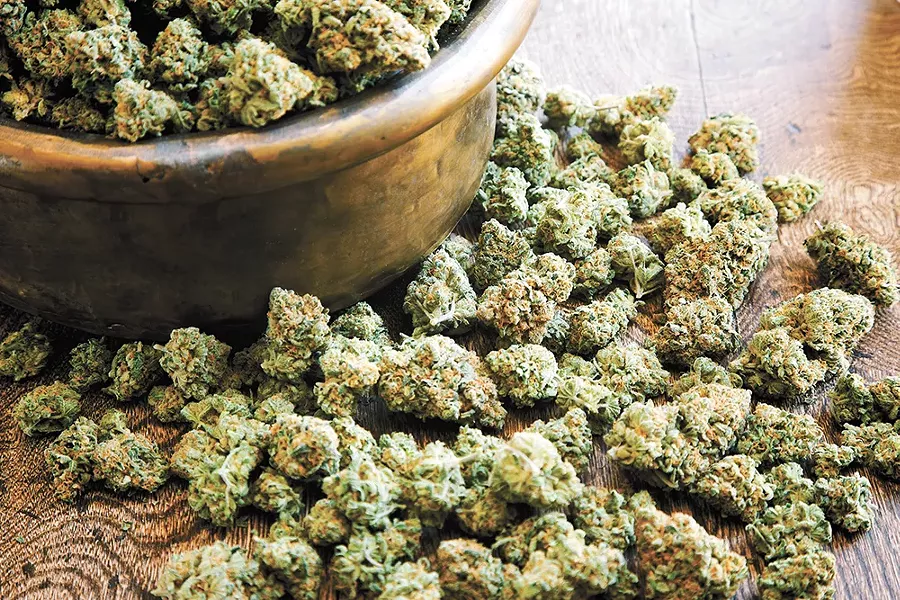 Know your bud.