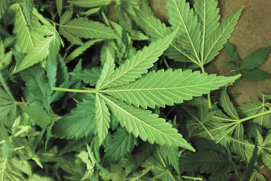 Nationwide, legal pot sales were up 30 percent in 2017. - YOUNG KWAK