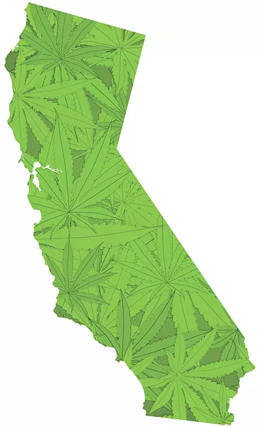 California was the first state to legalize medical marijuana largely due to the activism by Dennis Peron.