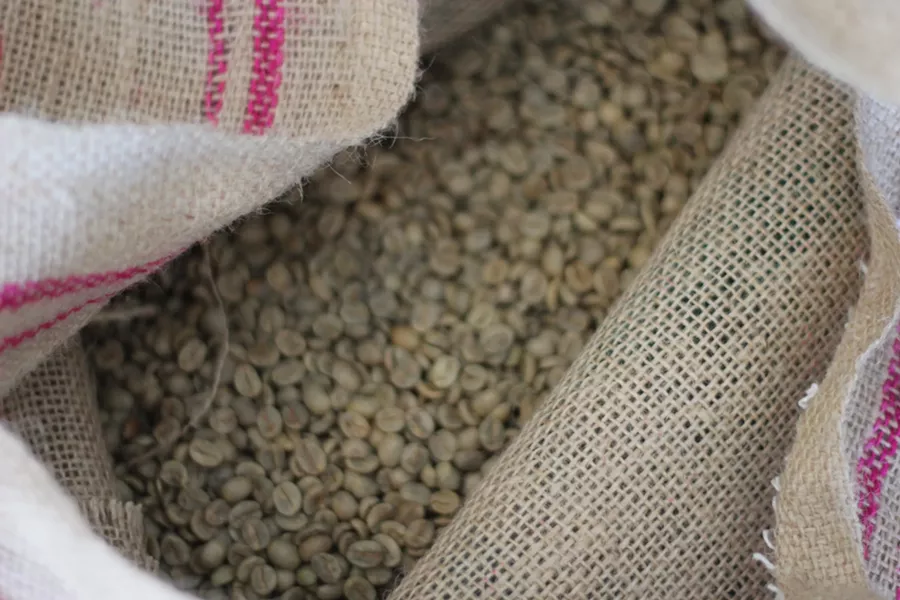 Brazilian coffee beans at Arctos Coffee & Roasting Co. - QUINN WELSCH PHOTO