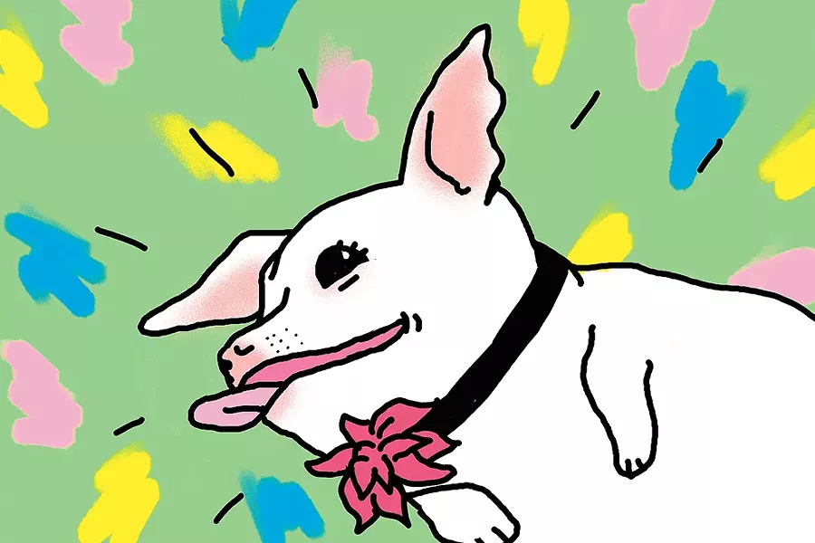 CALEB WALSH ILLUSTRATION