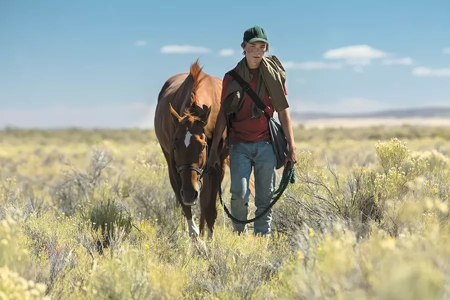 Lean on Pete is a much darker film than it initially appears. - LEAN ON PETE