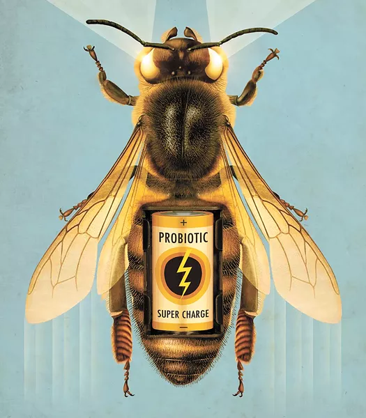 JEFF DREW ILLUSTRATION