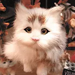 giftguide13-3-ae29e128612797c3.jpg