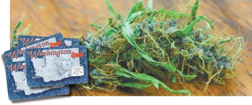 Pro tip: Don't try to trade weed for government-issued benefits