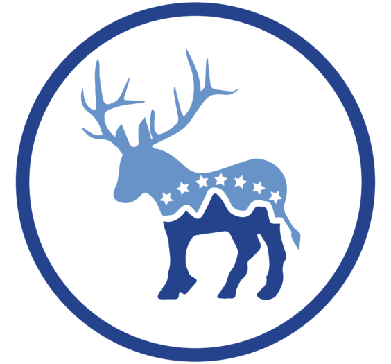 donkalope-24-1-thegem-blog-slider-halfwidth.png