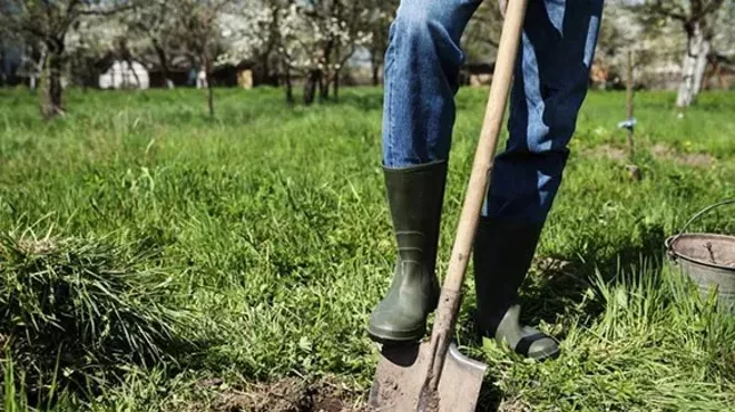 Reforest Spokane Day, Northwest BachFest, and more events