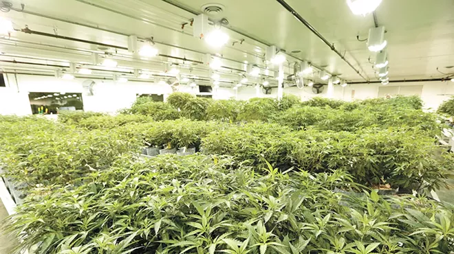 GrowOp Farms in Spokane Valley.