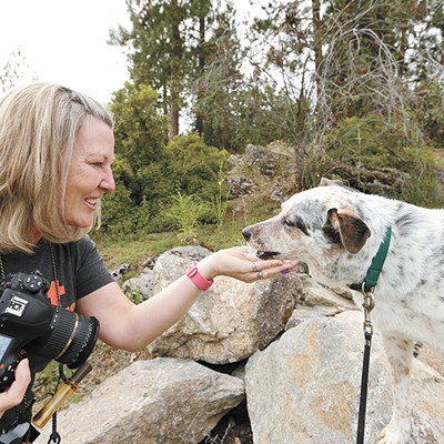 Local pet photographer Angela Schneider captures the connections between dogs and their owners
