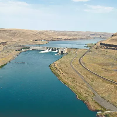 The Lower Monumental Dam is one of four along the Snake River that some advocates say should be removed.