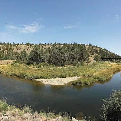 PCBs are a concerning toxic pollutant in the Spokane River watershed, which includes Hangman Creek (pictured).