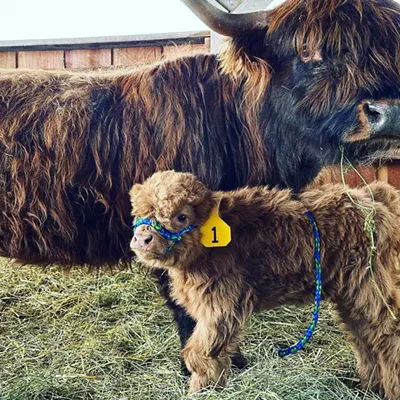 New fair mascot, kickstarting sound design; plus, new music!
