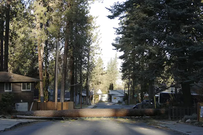 Scenes around Spokane during the Jan. 13, 2021 windstorm Spokane