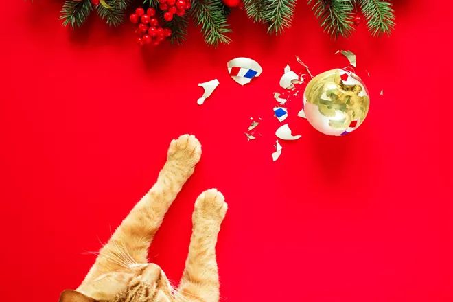 Gifts for Pets & Pet Lovers - Vimarsana News