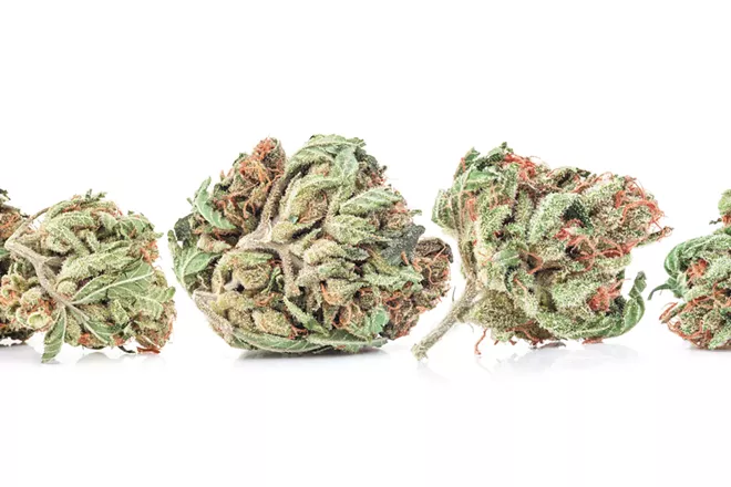 Recommendations on the best current strains from local dispensaries - Vimarsana News
