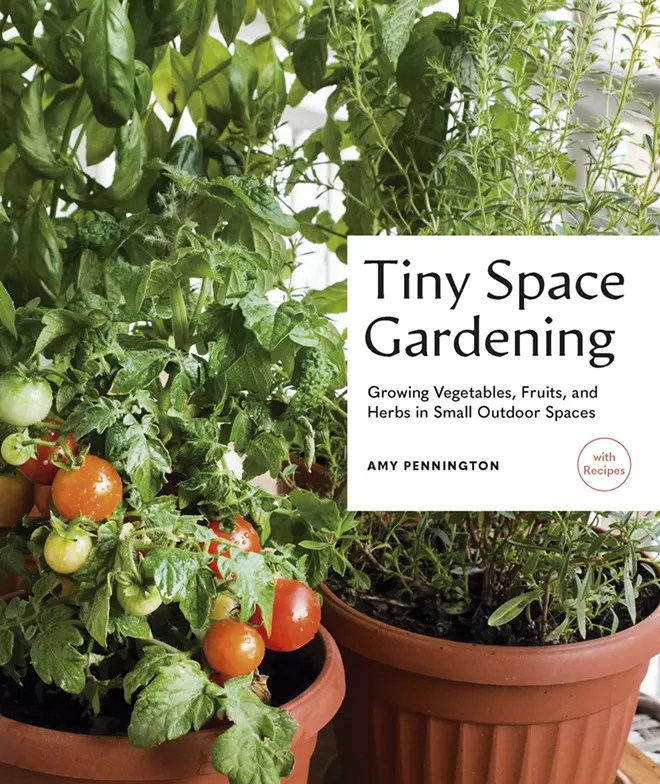 Gardening Guide: Let it Grow - Vimarsana News