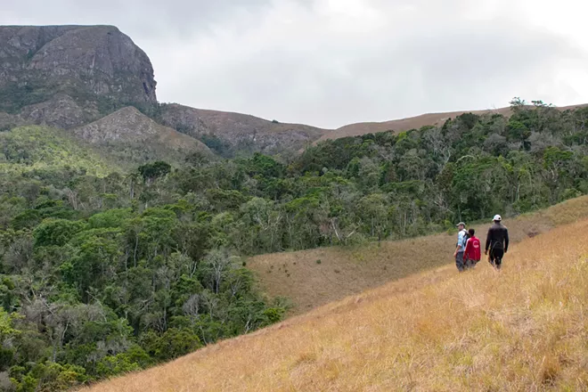 A Pullman-based conservation organization is helping preserve habitat for a rare-yet-pungent Madagascar spice - Vimarsana News